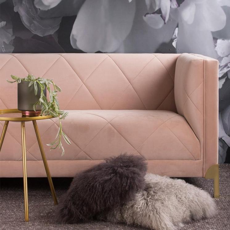 The Colourful Couch Movement