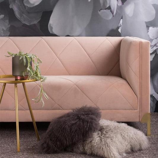 The Colourful Couch Movement