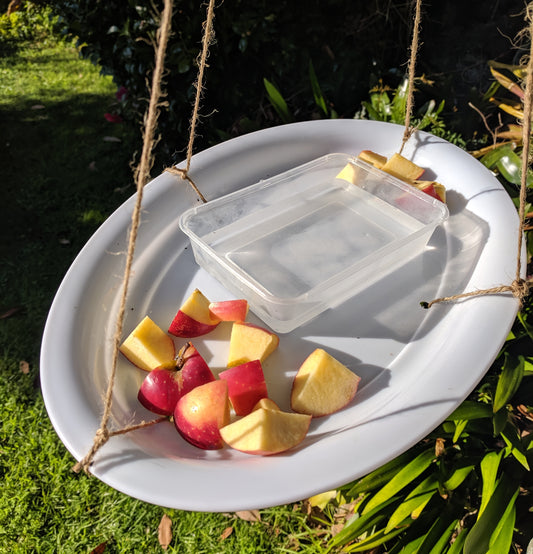 How to Make a FREE Bird Feeder