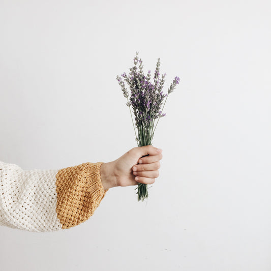 Lavender, you beauty, the reasons why we love you