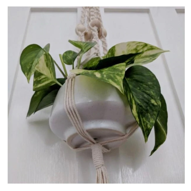 Make your own macrame plant hanger package - MakeKit DIY Craft Kits