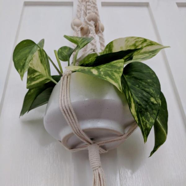 Make your own Macramé Plant Hanger - MakeKit DIY Craft Kits