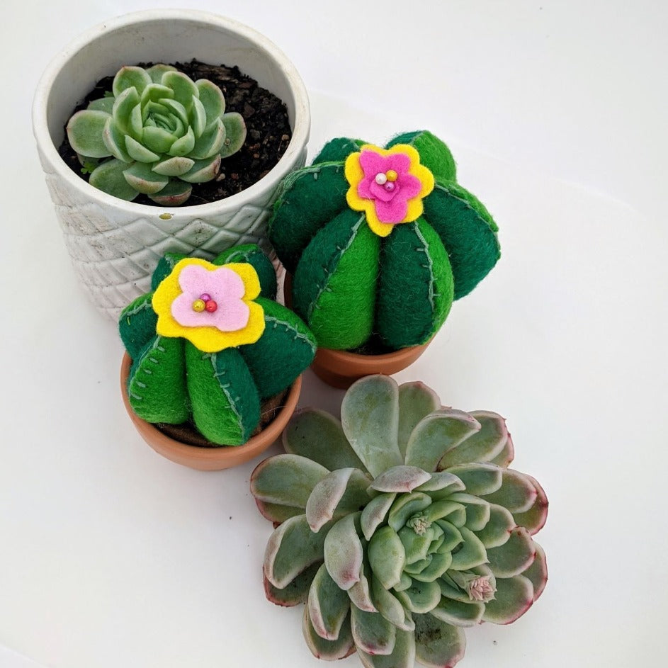 Make your own cactus pin cushion, hand sewn with green, pink and yellow felt.